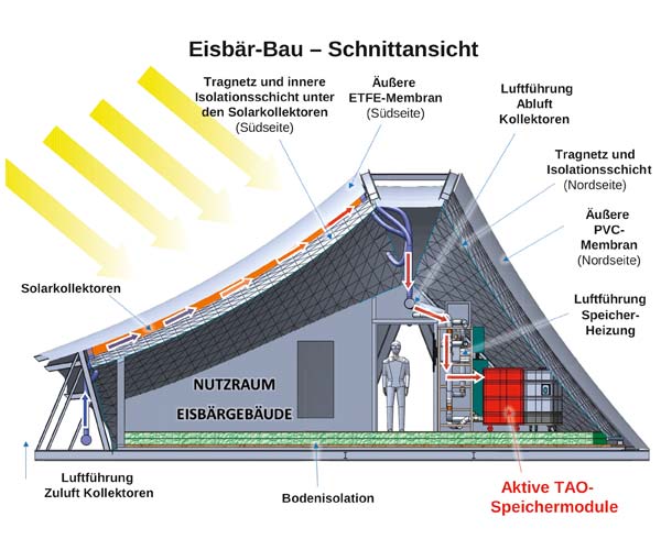 Eisbärbau