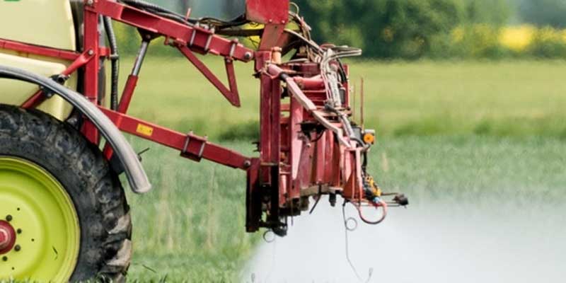 Market Gardening: Biointensiver Gemüsesanbau nach den regenerativen Prinzipien der Permakultur