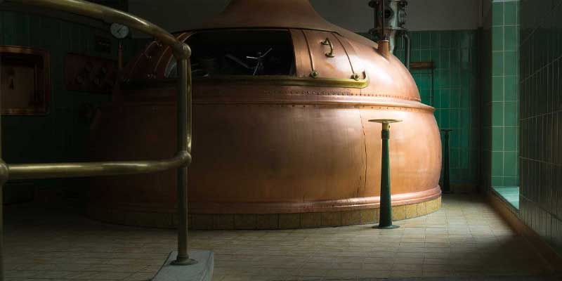 Gegen das Wachstumsdogma – Unternehmen entwickeln nachhaltige Wirtschaftsmodelle